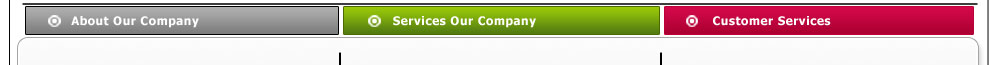 About our Company, Services our Company, Customer Services